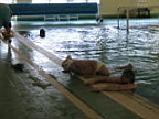 alta_quota_img_0102.jpg