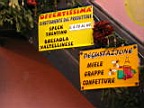 alta_quota_img_0160.jpg